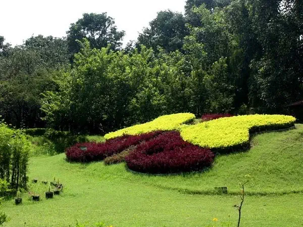 Haldwani to Chandigarh Taxi