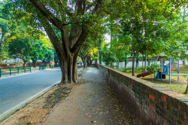 Haldwani to Chandigarh Taxi