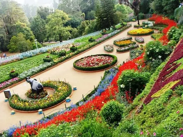 Haldwani to Chandigarh Taxi