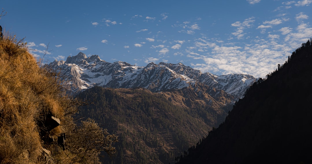 Delhi to Kasol Taxi