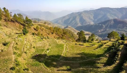 Dehradun to Ranikhet Cab