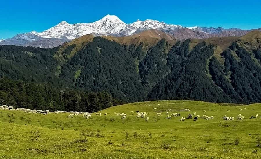 Dehradun to Uttarkashi cab